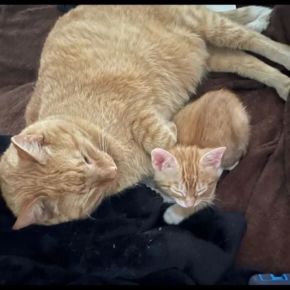 Help me reach 700k I’m at 620k - Picture 4 of 7